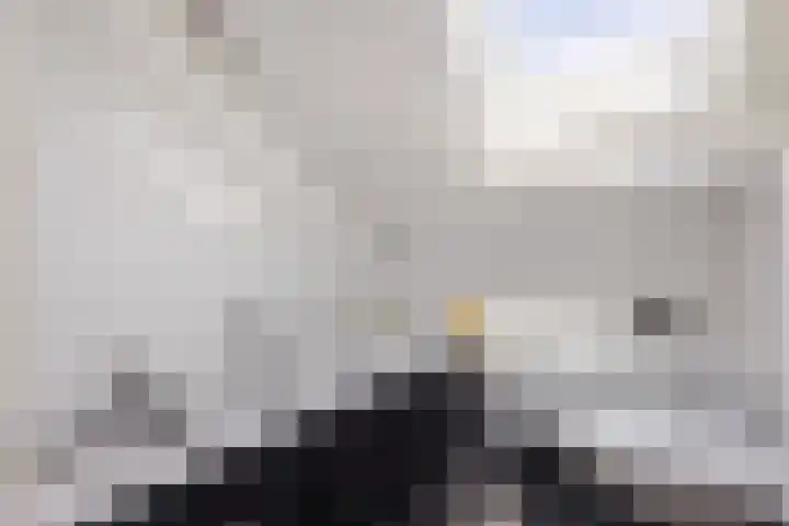 Schinkeldijk 46 Reeuwijk thumbnail 6