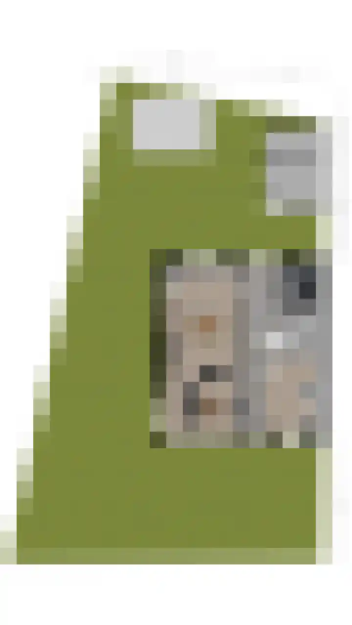 Schinkeldijk 46 Reeuwijk thumbnail 64