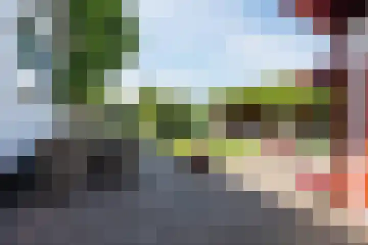 Schinkeldijk 46 Reeuwijk thumbnail 7