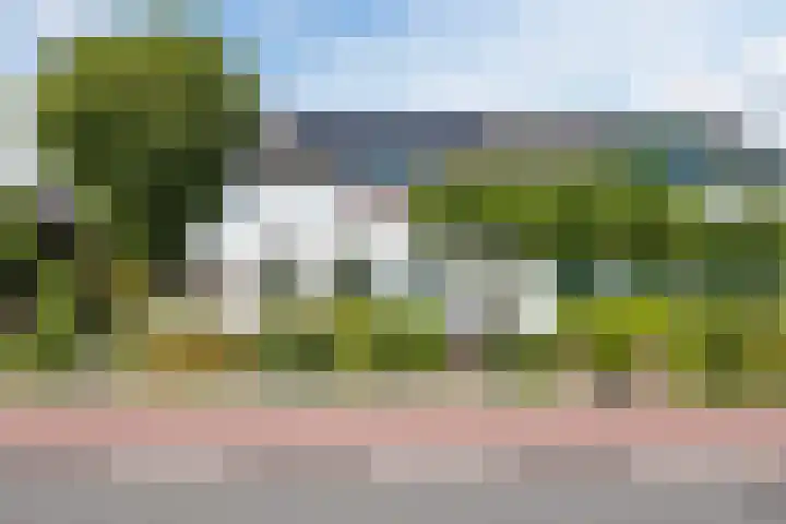 Schinkeldijk 46 Reeuwijk thumbnail 8