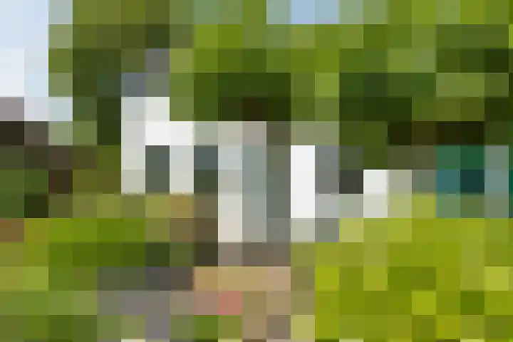 Schinkeldijk 46 Reeuwijk thumbnail 9