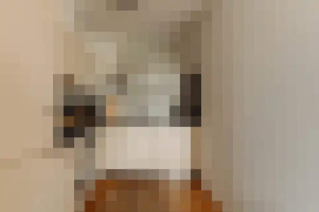 Schinkelhavenkade 15 Amsterdam thumbnail 5