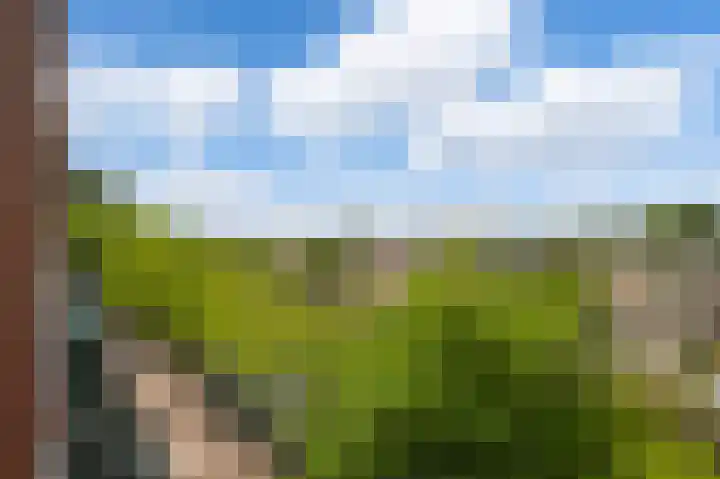 Schinkelhavenkade 20 Amsterdam thumbnail 20