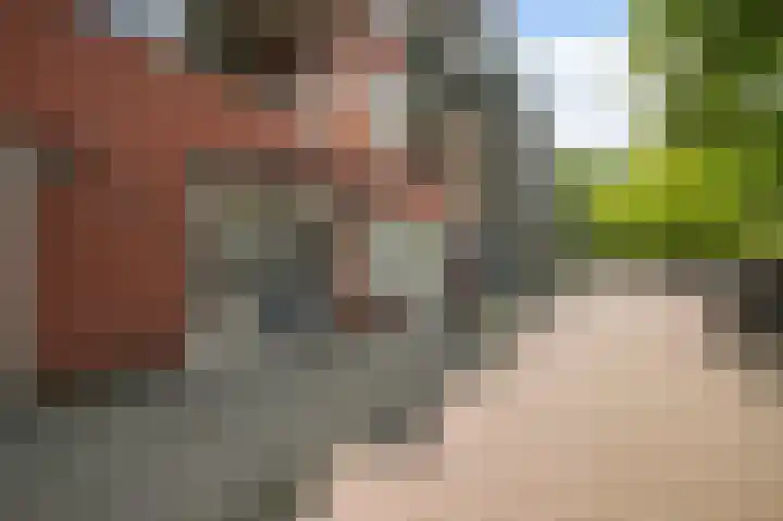 Schinkelhavenkade 20 Amsterdam thumbnail 38