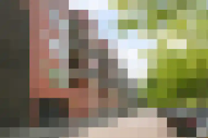 Schinkelhavenkade 20 Amsterdam thumbnail 39
