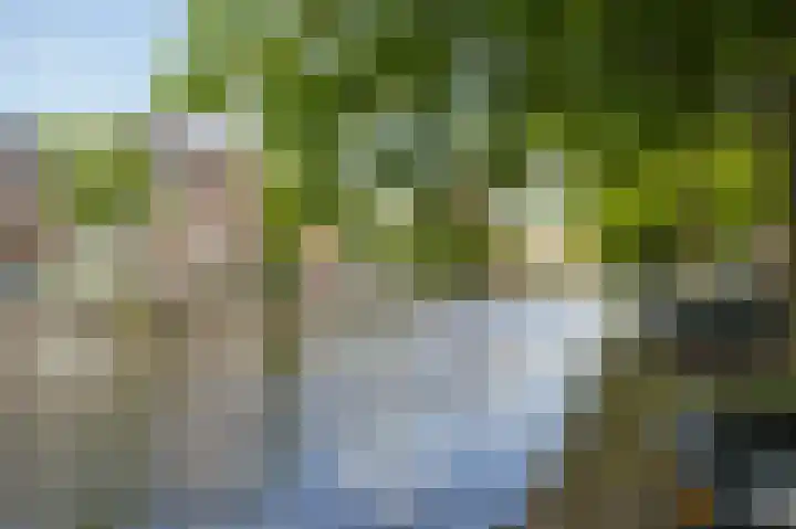 Schinkelhavenkade 20 Amsterdam thumbnail 40