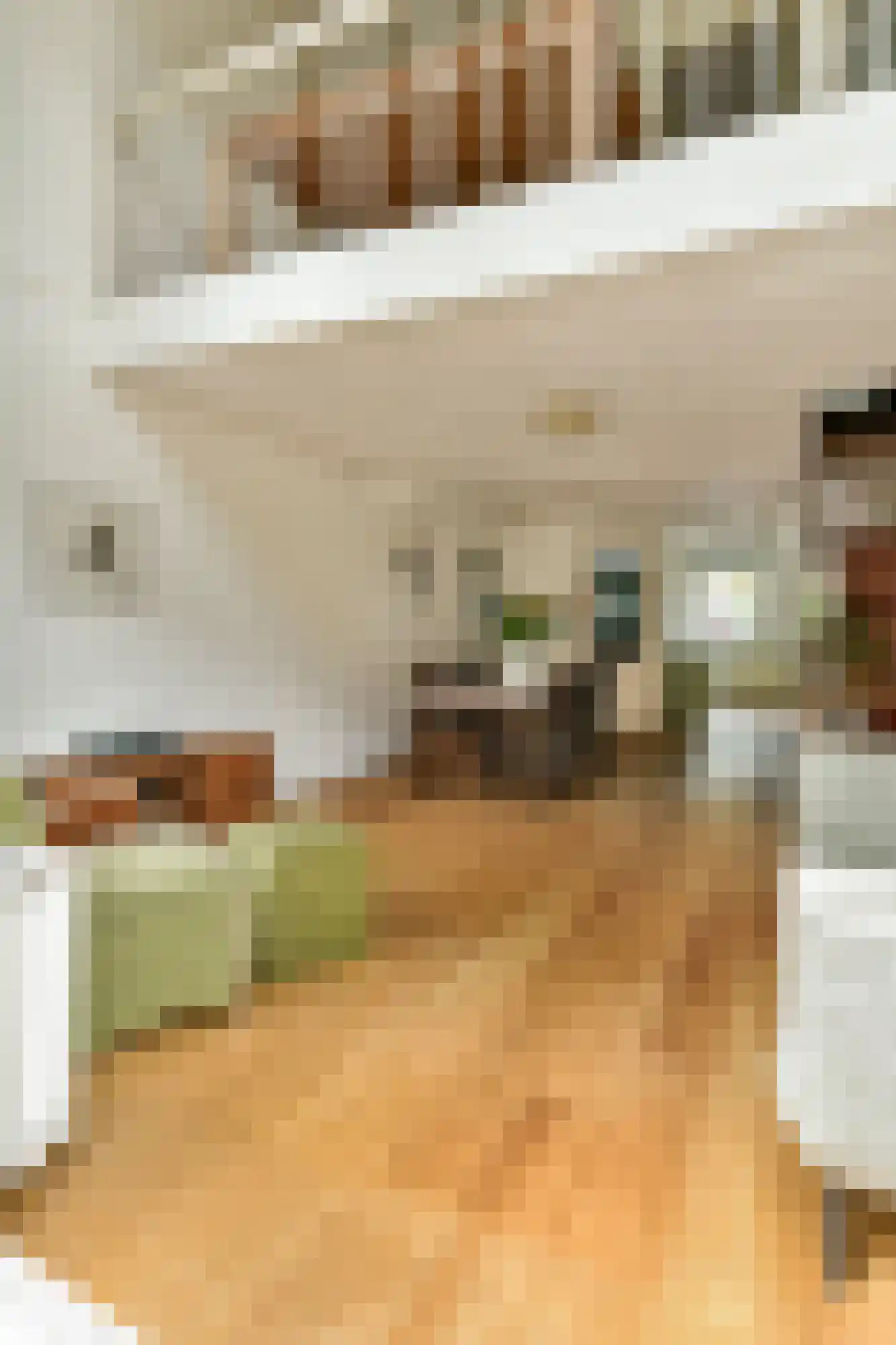 Schinkelhavenstraat 19 A Amsterdam thumbnail 5