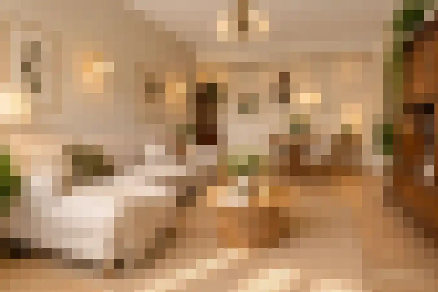 Schinkelhavenstraat 7 1 Amsterdam thumbnail 10