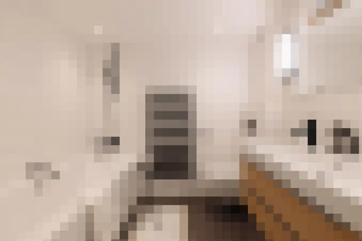 Schinkelkade 13 B Amsterdam thumbnail 44