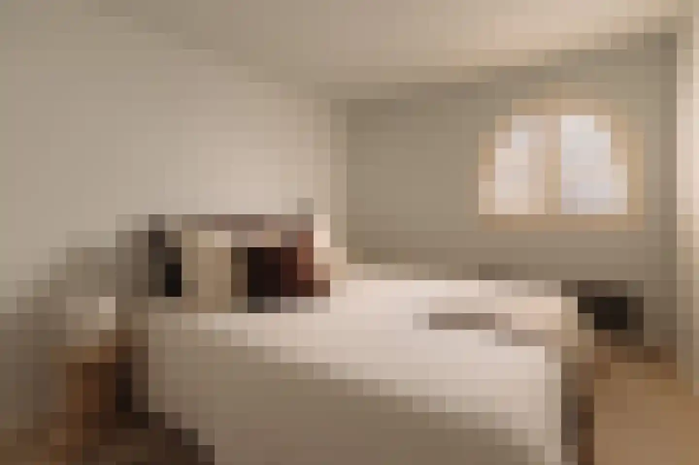 Schinkelkade 13 B Amsterdam thumbnail 47