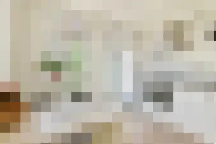 Schinkelkade 23 2 Amsterdam thumbnail 11