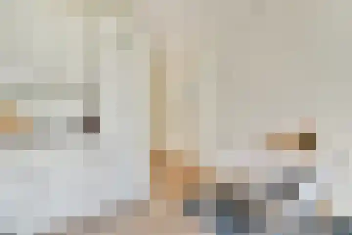 Schinkelkade 23 2 Amsterdam thumbnail 13