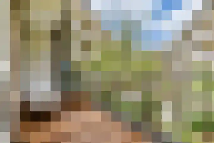 Schinkelkade 23 2 Amsterdam thumbnail 15
