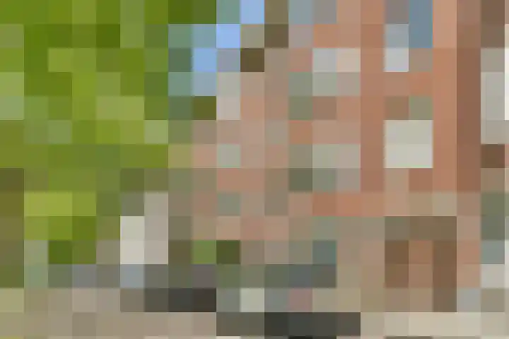 Schinkelkade 23 2 Amsterdam thumbnail 25