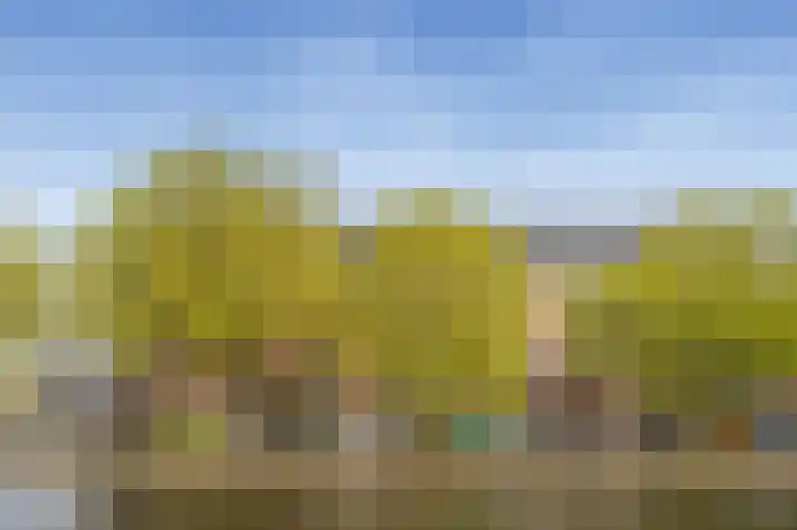 Schinkelkade 23 2 Amsterdam thumbnail 5