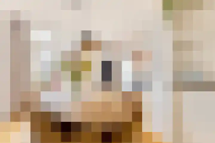 Schinkelkade 23 2 Amsterdam thumbnail 9