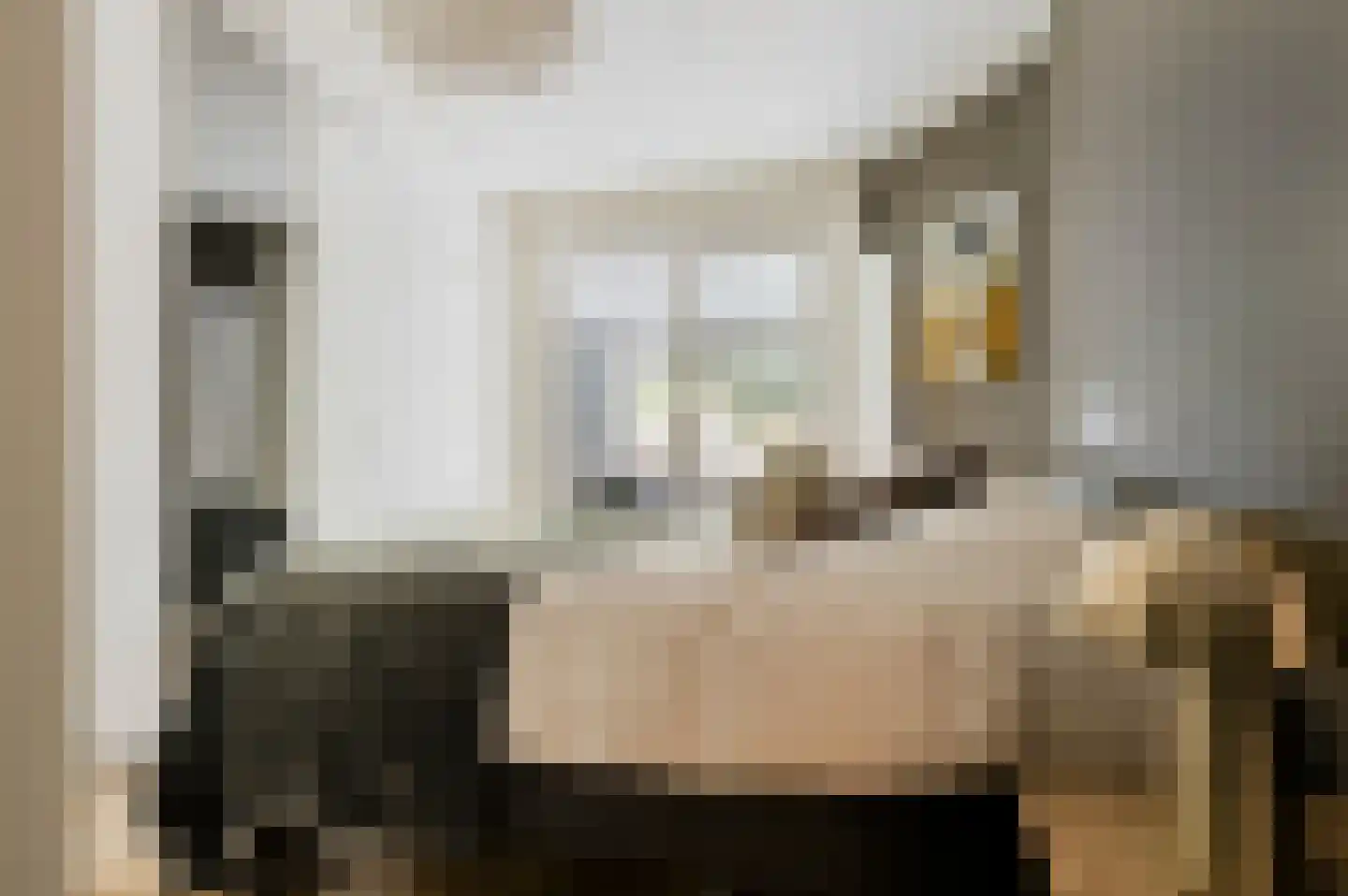 Schinkelkade 23 A H Amsterdam thumbnail 11