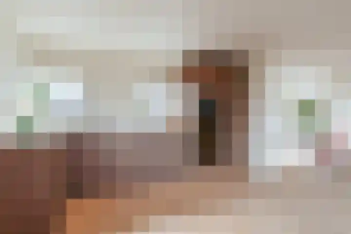 Schinkelkade 32 3 Amsterdam thumbnail 11