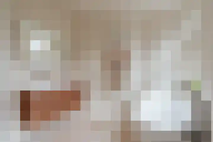 Schinkelkade 32 3 Amsterdam thumbnail 21