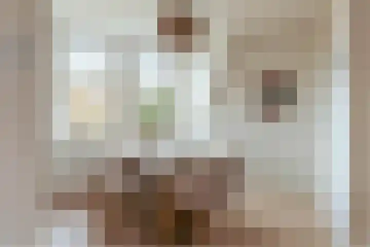 Schinkelkade 32 3 Amsterdam thumbnail 8