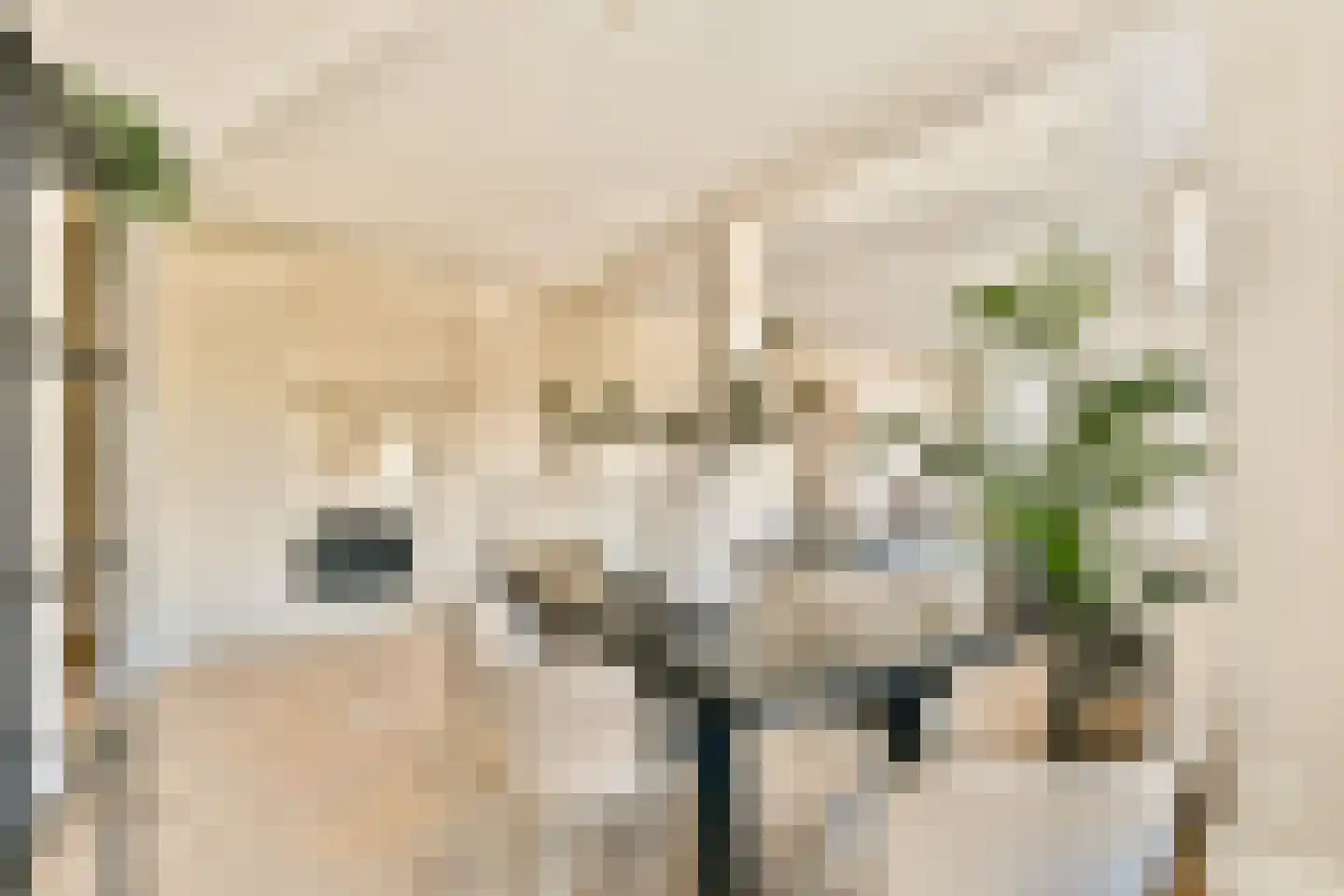 Schinkelkade 33 1 Amsterdam thumbnail 11