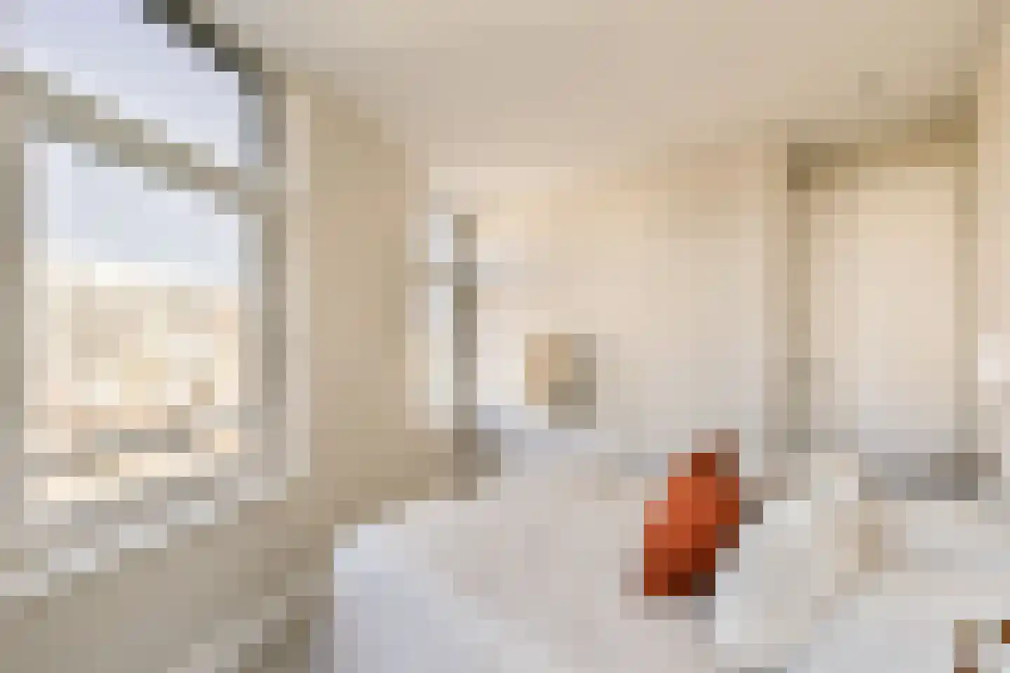 Schinkelkade 33 1 Amsterdam thumbnail 16