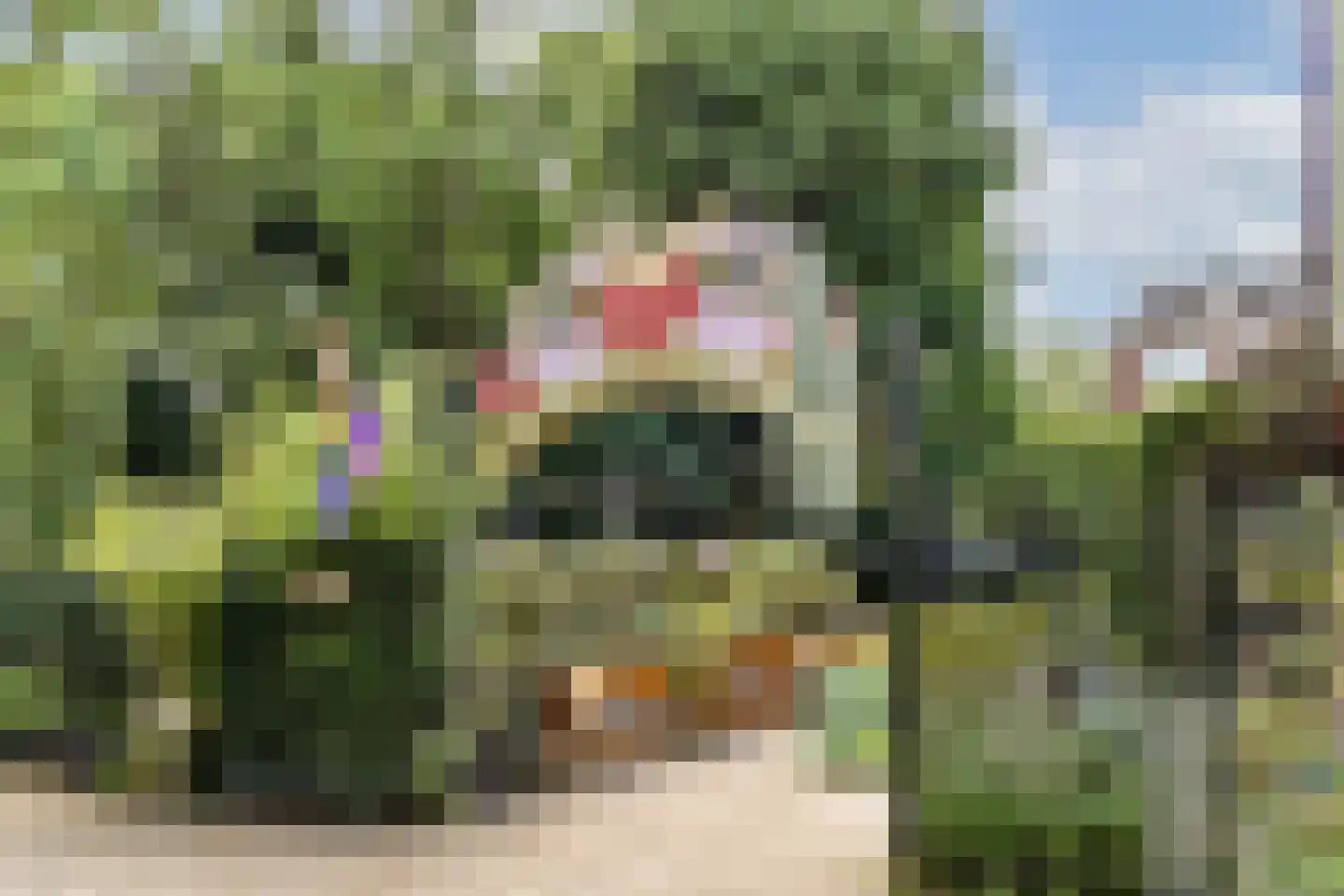Schinkelkade 33 1 Amsterdam thumbnail 25