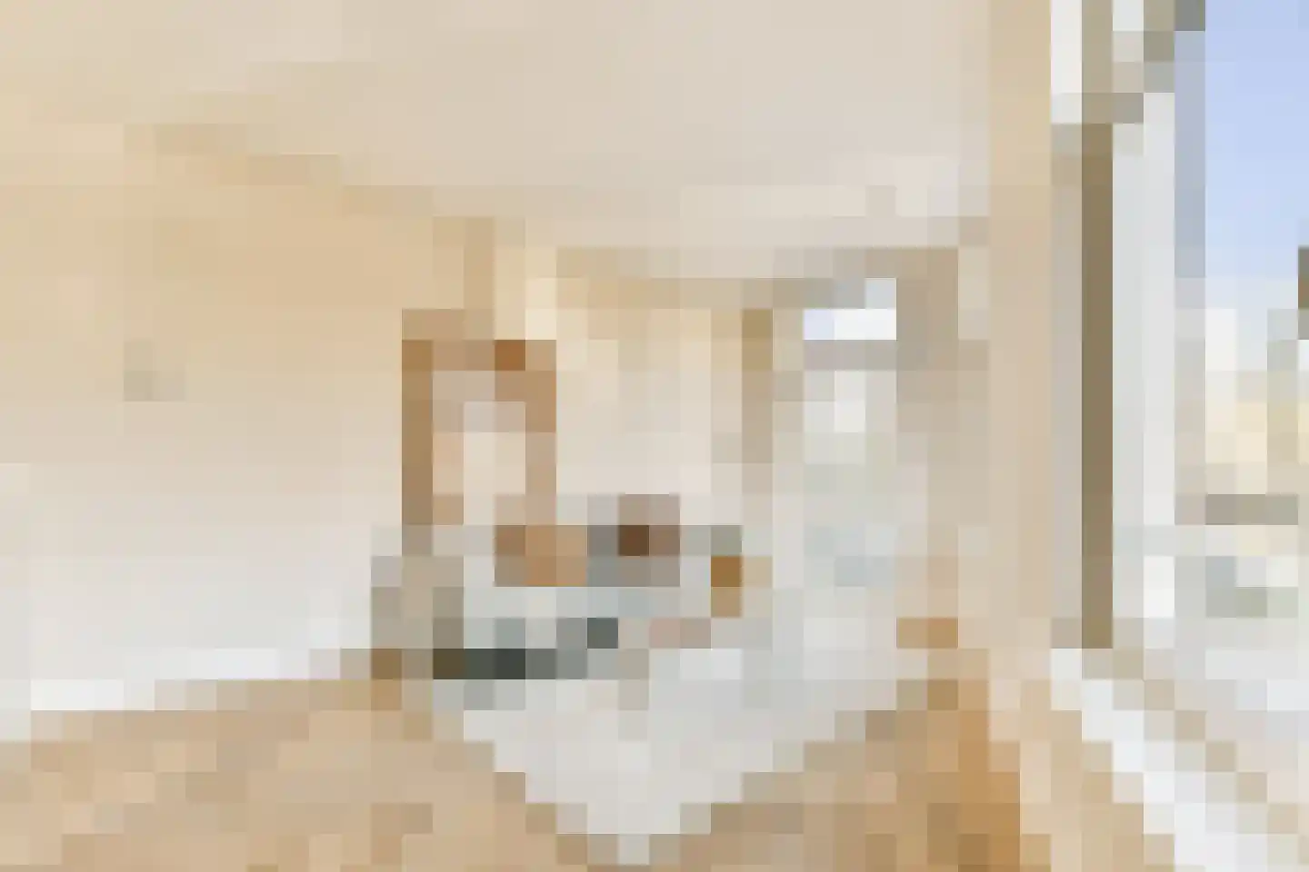 Schinkelkade 33 1 Amsterdam thumbnail 6