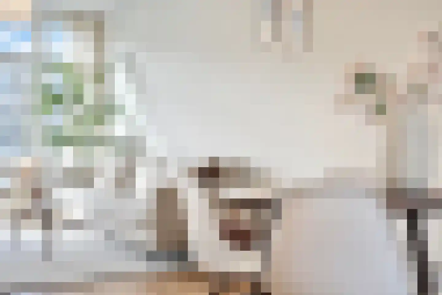 Schinkelkade 57 3 Amsterdam thumbnail 14