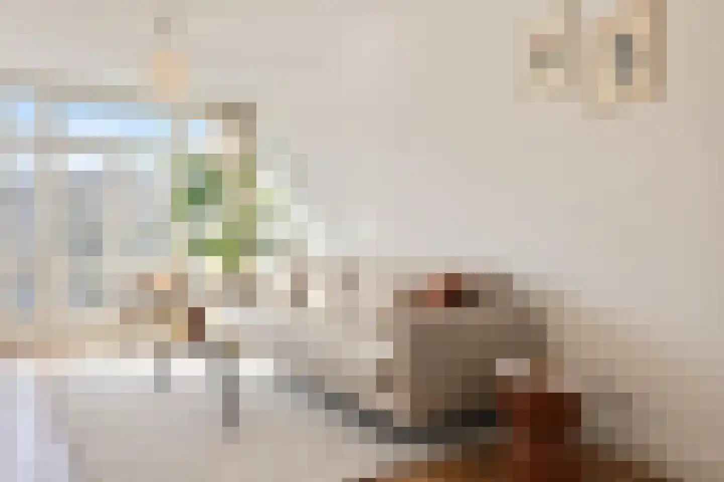 Schinkelkade 57 3 Amsterdam thumbnail 9