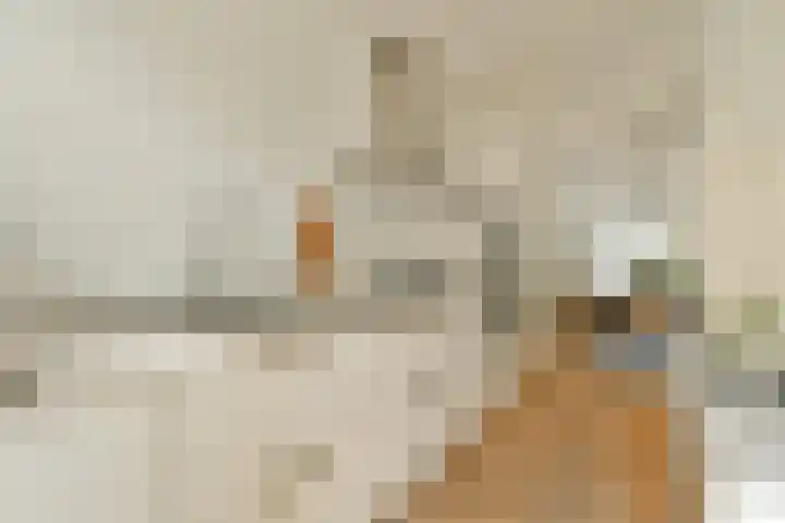 Schinkelkade 58 1 Amsterdam thumbnail 12