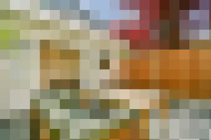 Schinkelkade 58 1 Amsterdam thumbnail 14