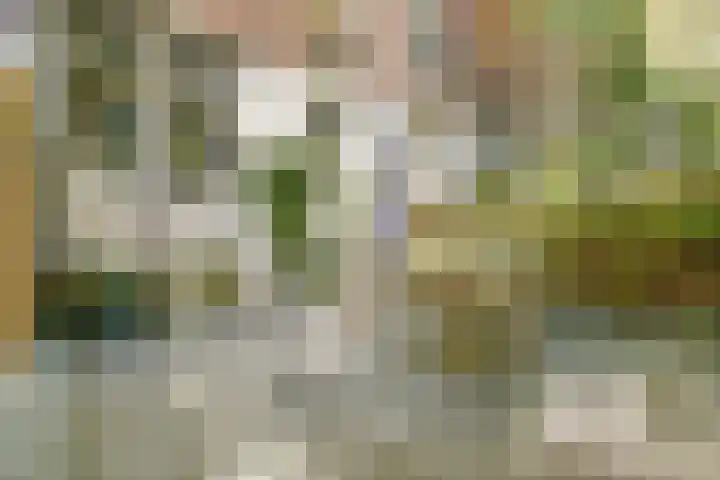 Schinkelkade 58 1 Amsterdam thumbnail 18
