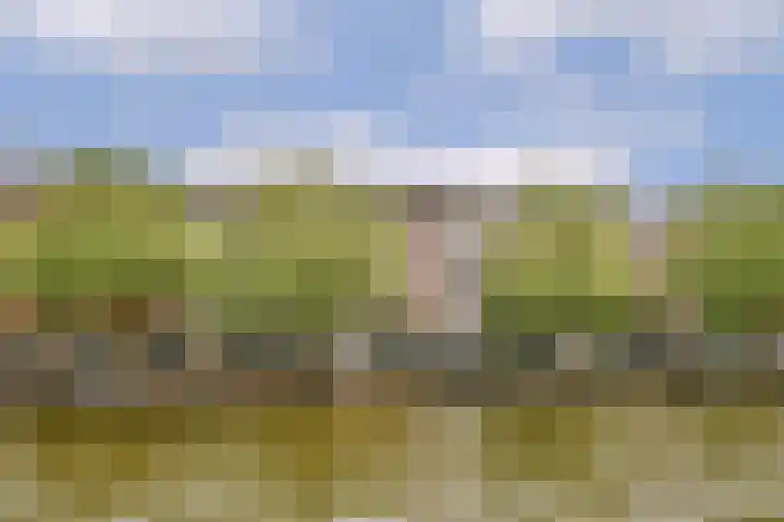 Schinkelkade 58 1 Amsterdam thumbnail 36