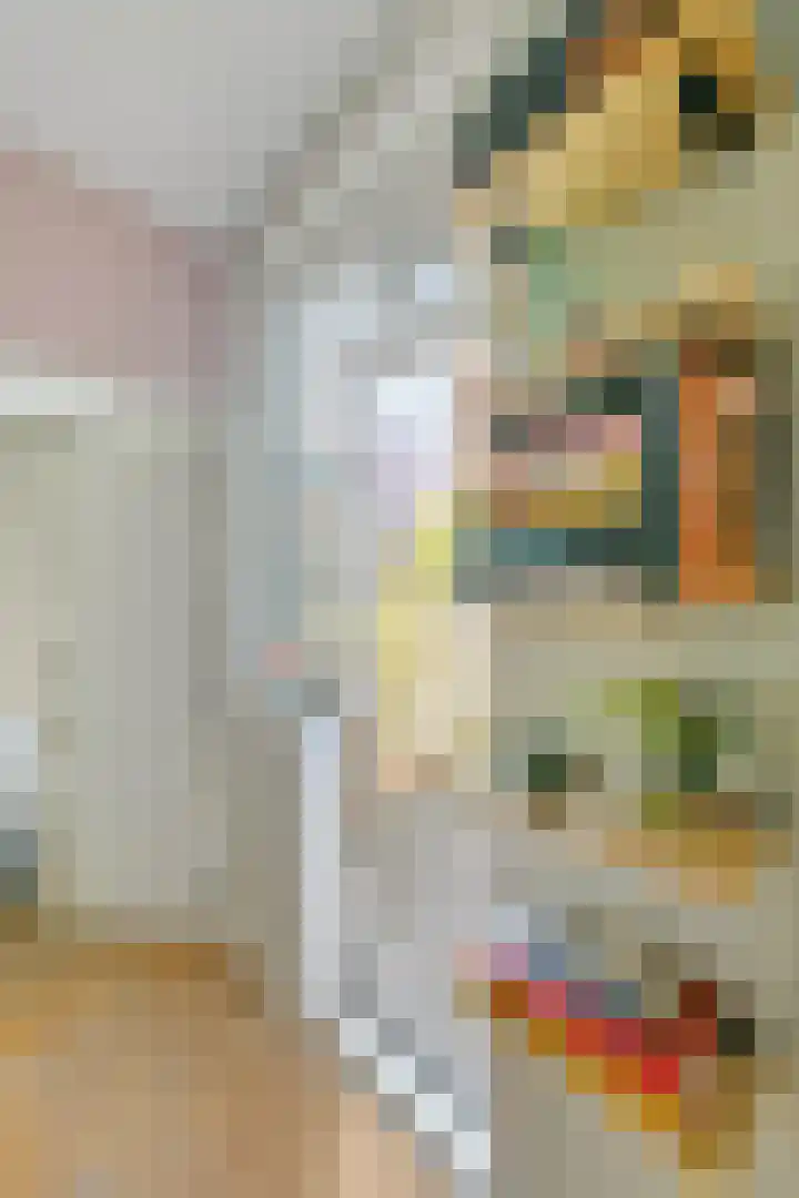 Schinkelkade 60 2 Amsterdam thumbnail 19