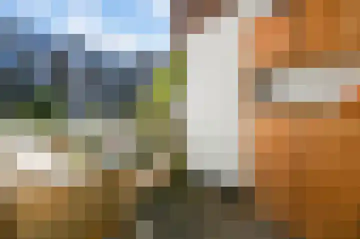Schinkelkade 60 2 Amsterdam thumbnail 30