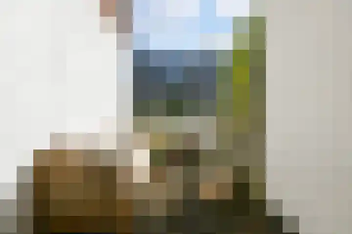Schinkelkade 60 2 Amsterdam thumbnail 31