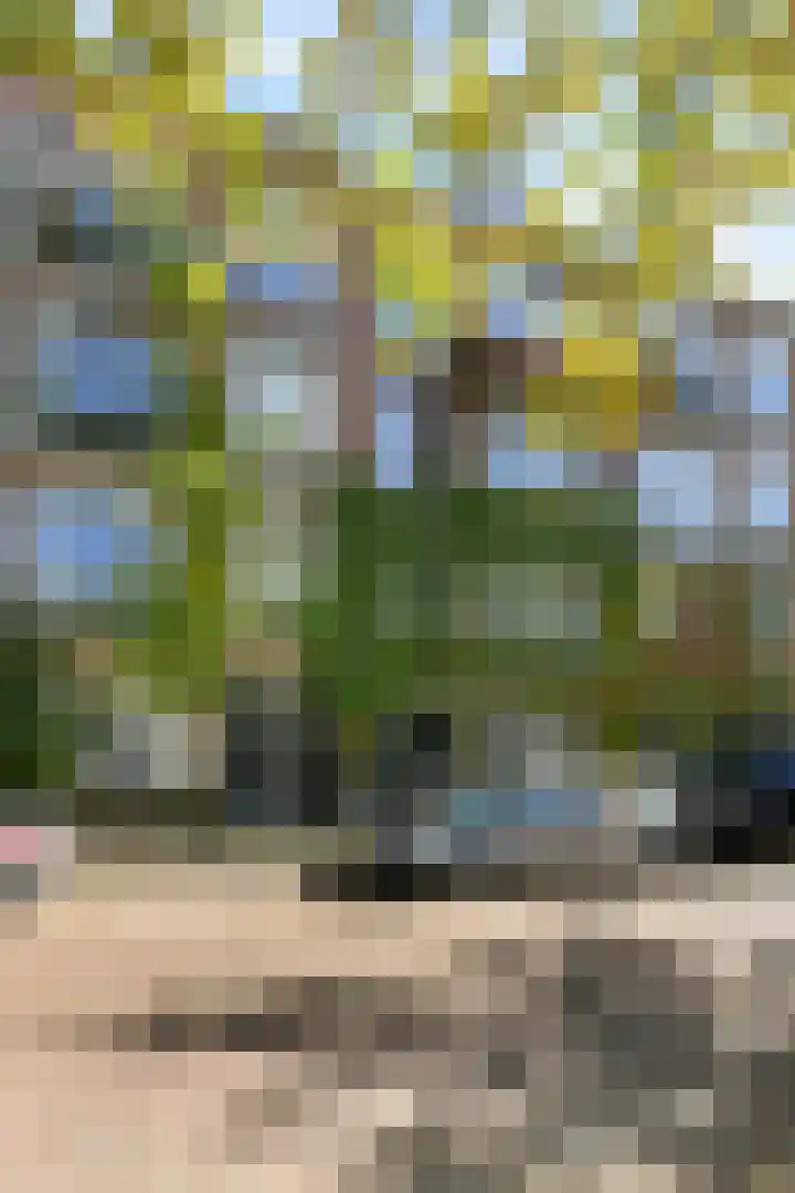 Schinkelkade 60 2 Amsterdam thumbnail 44