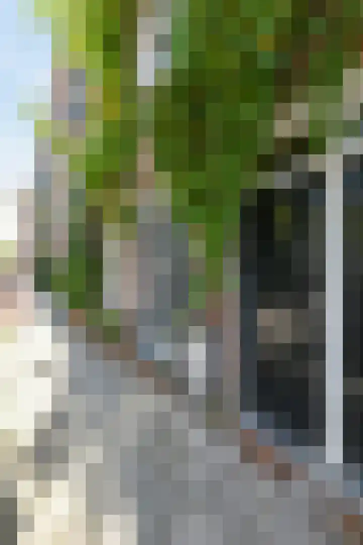 Schinkelkade 60 2 Amsterdam thumbnail 53