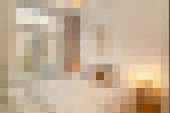 Schinkelkade 61 2 Amsterdam thumbnail 15