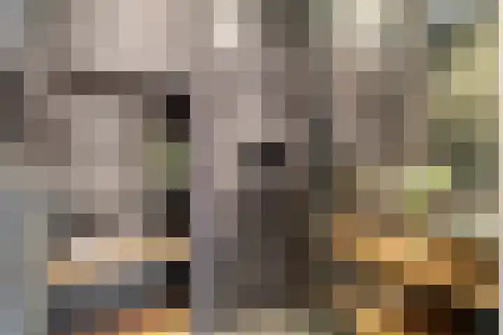 Schinkelkade 61 2 Amsterdam thumbnail 17