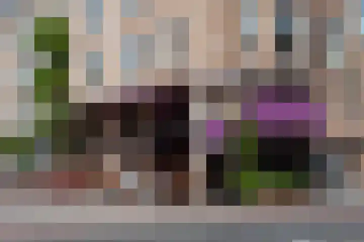 Schinkelkade 61 2 Amsterdam thumbnail 21