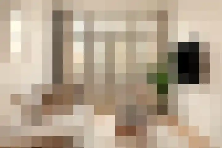 Schinkelkade 61 2 Amsterdam thumbnail 7