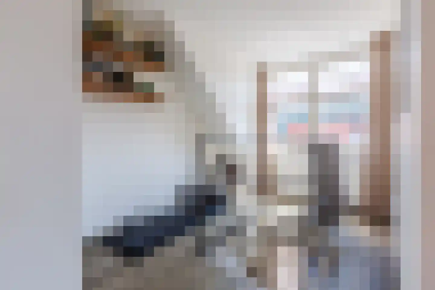 Schinkelstraat 7 Egmond aan Zee thumbnail 25