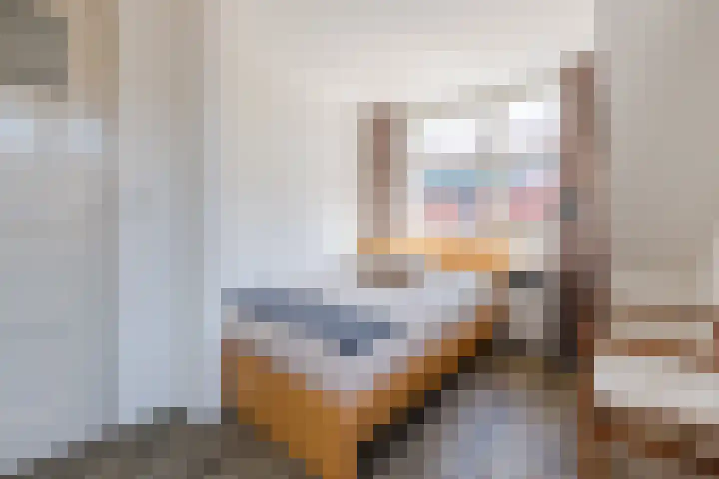 Schinkelstraat 7 Egmond aan Zee thumbnail 27