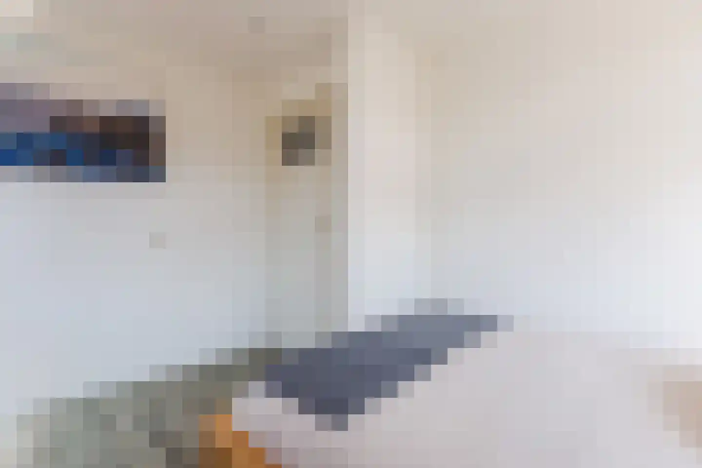 Schinkelstraat 7 Egmond aan Zee thumbnail 28