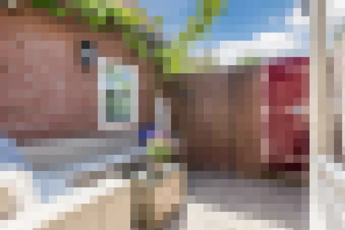 Schinkelstraat 7 Egmond aan Zee thumbnail 31