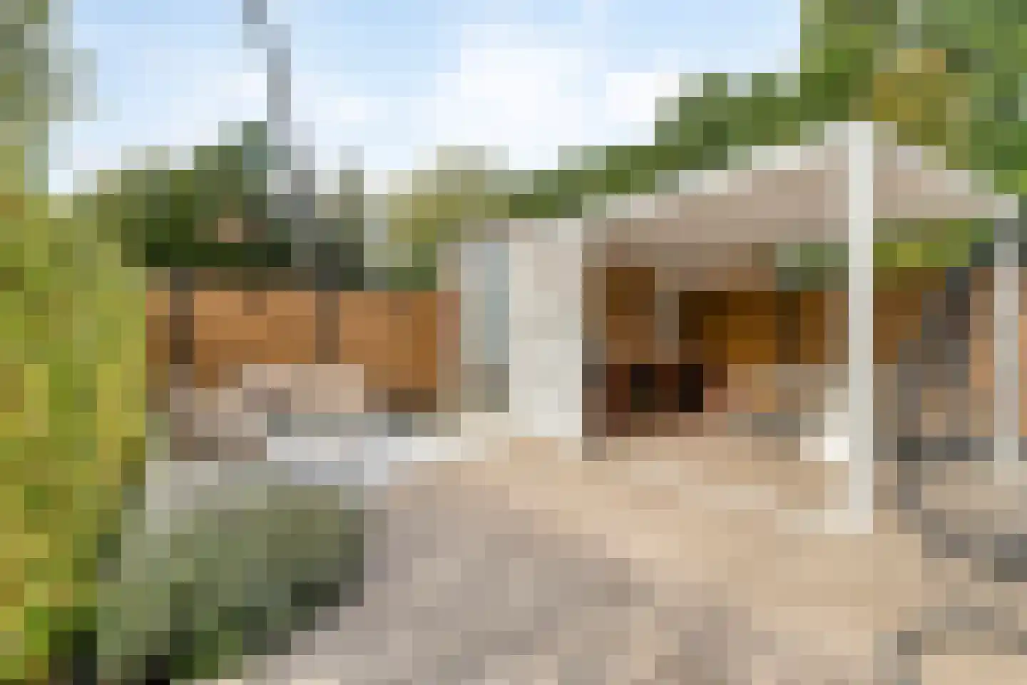 Schinkelsveen 34 Capelle aan den IJssel thumbnail 36