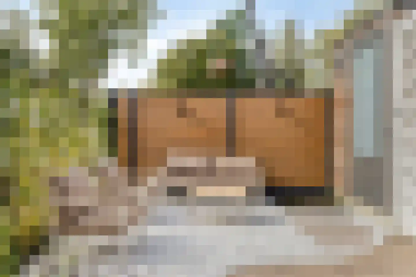 Schinkelsveen 34 Capelle aan den IJssel thumbnail 37