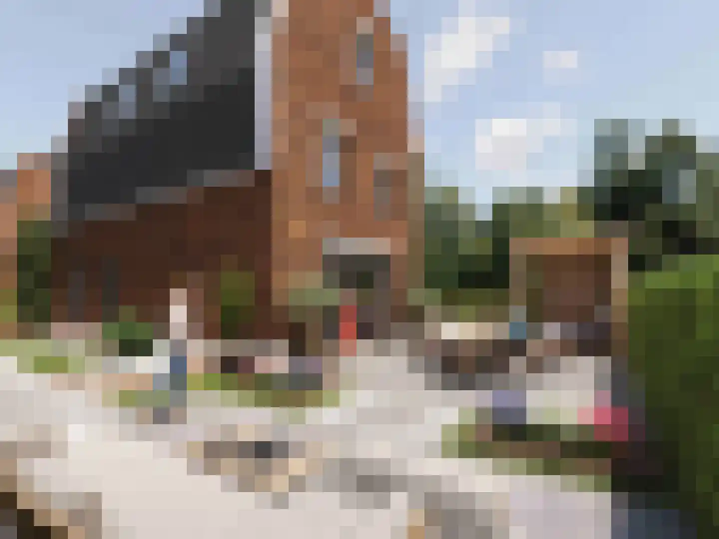 Schinkelsveen 37 Capelle aan den IJssel